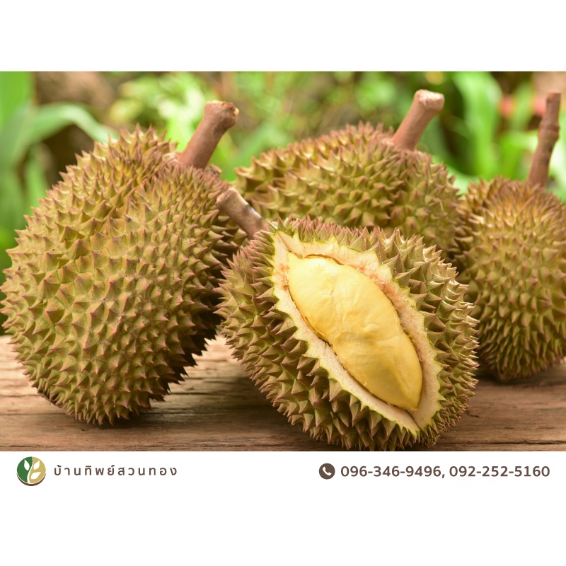 Account1Account1Account1Account1Account1Account1