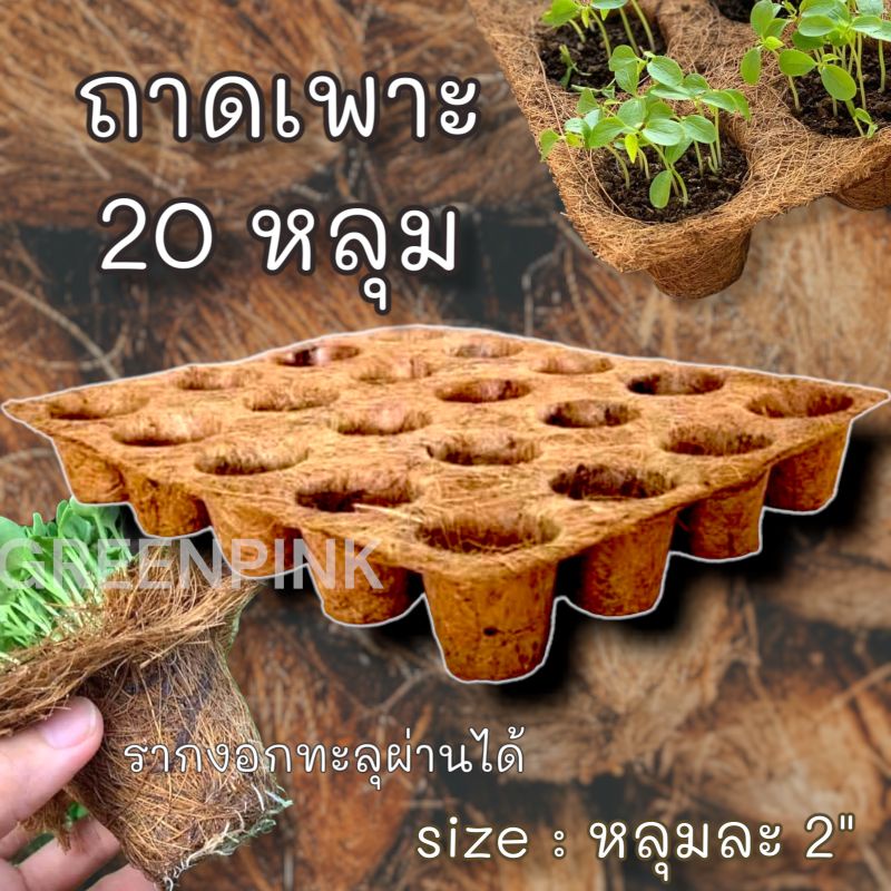 ถาดเพาะกล้า 20หลุม ถาดเพาะเมล็ด กระถางใยมะพร้าว ถาดหลุม
