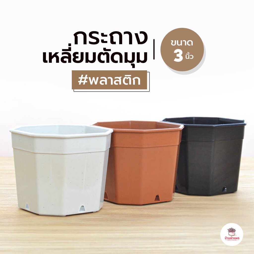 กระถางสี่เหลี่ยมตัดมุม 3 นิ้ว กระถางพลาสติก แคคตัส กระบองเพชร ไม้อวบน้ำ Cactus&Succulent
