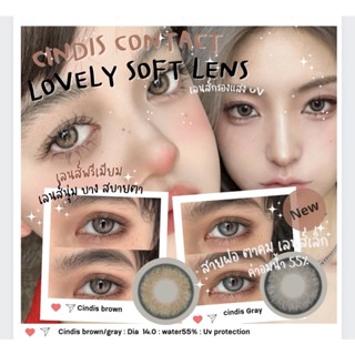 Premium Lens By Lovely Soft Mini Cindis gray/brown ค่าสายตา0.00-700