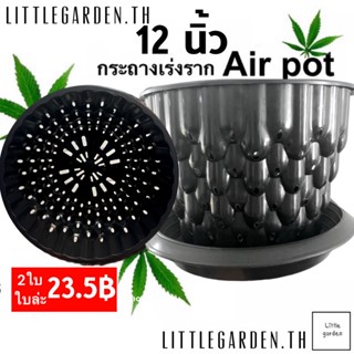 Little กระถางแอร์พอต กระถาง air pot 12 นิ้ว กระถางเร่งราก(ดำเงาA+🖤)