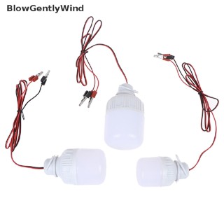 Blowgentlywind หลอดไฟ Led 12V 5W 9W 15W แบบพกพา