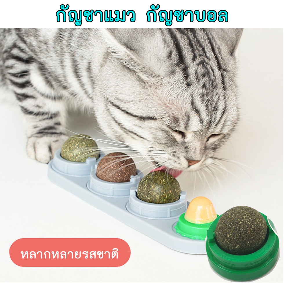 BN-258 แคทนิปบอล Catnip Ball กัญชาแมว ขนม ลูกอม ของเล่น แมวเลีย แปะกำแพง สมุนไพรแมว ball herb