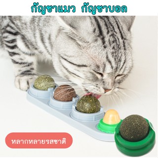 BN-258 แคทนิปบอล Catnip Ball กัญชาแมว ขนม ลูกอม ของเล่น แมวเลีย แปะกำแพง สมุนไพรแมว ball herb