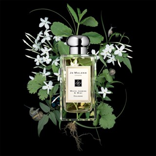 🤎 เปิดแบ่ง 🤎 Jo Malone White Jasmine &amp; Mint (Archive Collection)