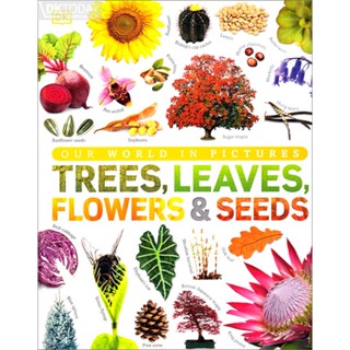 DKTODAY หนังสือ OUR WORLD IN PICTURES:TREES, LEAVES, FLOWERS &amp; SEEDS DORLING KINDERSLEY