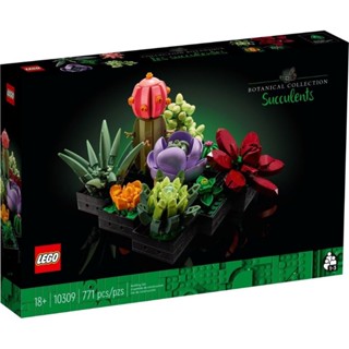 เลโก้ LEGO Exclusives 10309 Succulents