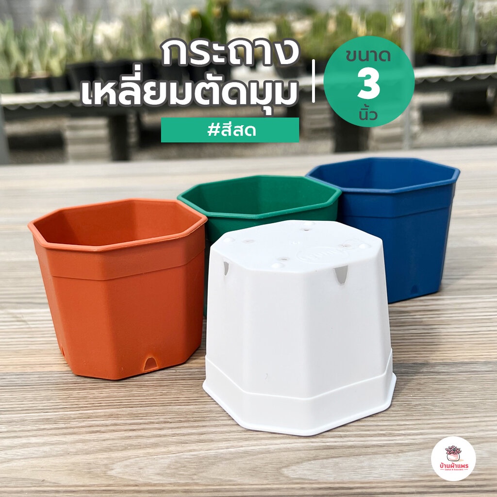 กระถางเหลี่ยมตัดมุม 3 นิ้ว #สีสด กระถางแคคตัส กระถางกระบองเพชร