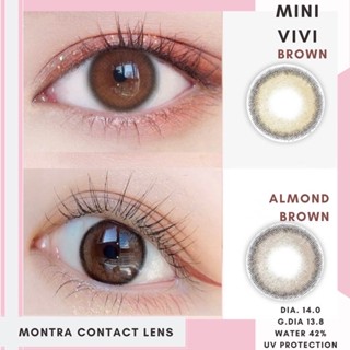 Mini Vivi Almond brown / brown ค่าสายตา 0.00-1000