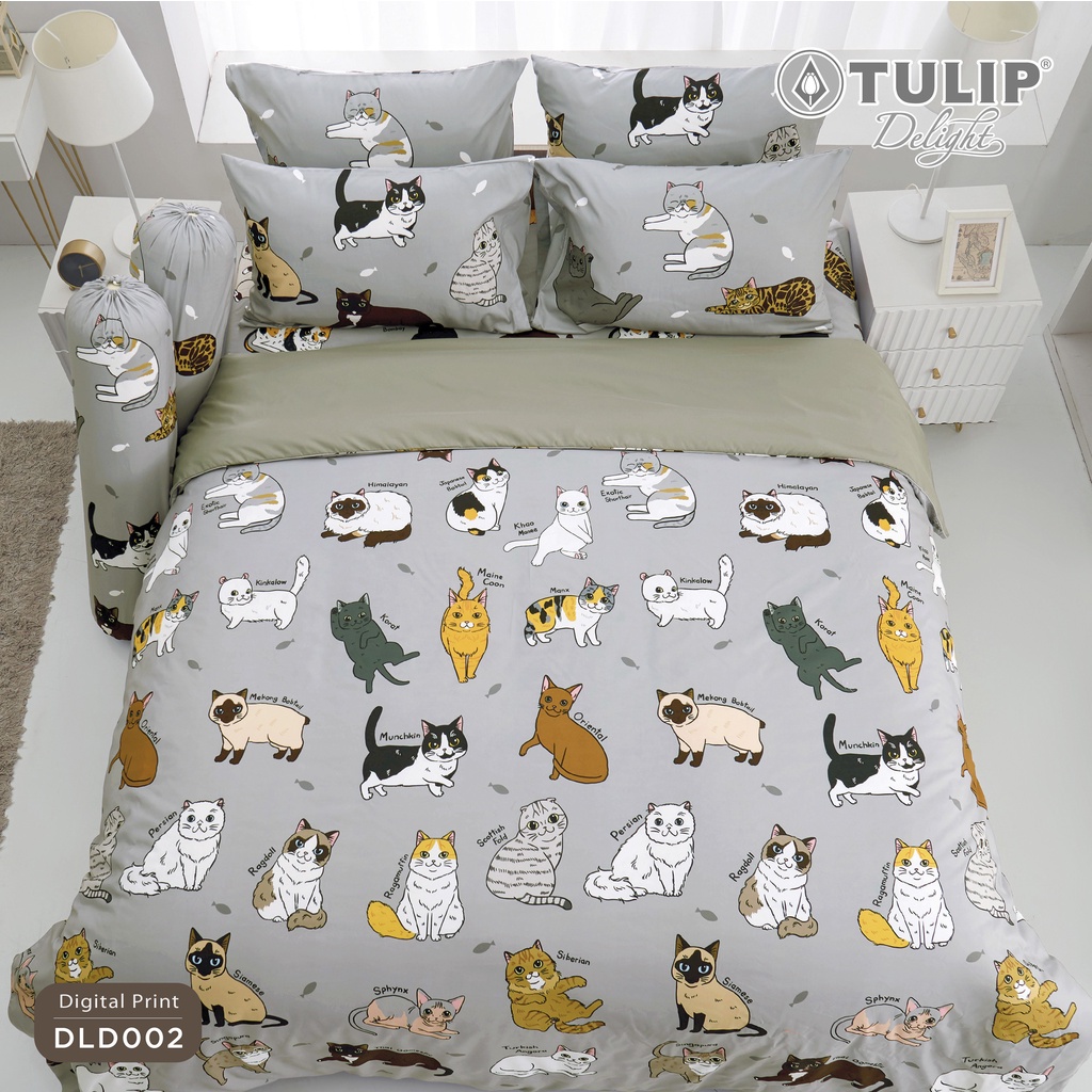 [ส่งฟรี] TULIP ชุดเครื่องนอน ลายแมว ทูนหัวของบ่าว DLD002 ผ้าปูที่นอน ผ้าห่มนวม รุ่น TULIP Delight ลิ