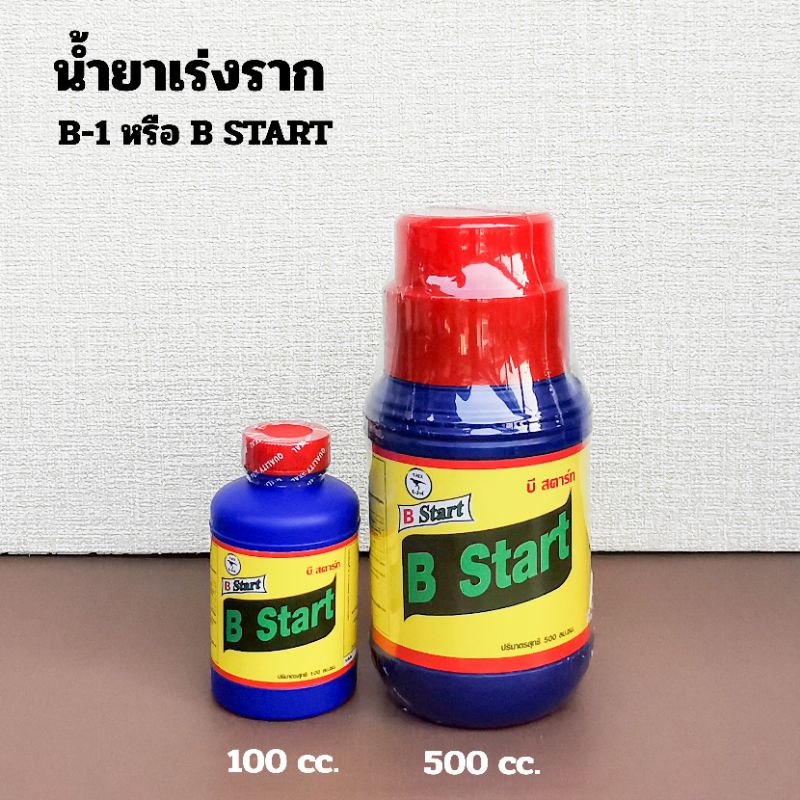 น้ำยาเร่งราก B1 หรือ B START บี สตาร์ท สูตรเข้มข้น