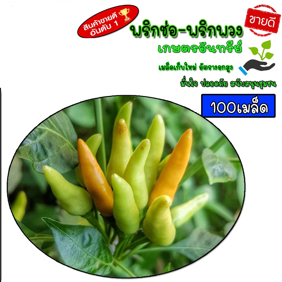 เมล็ดพริก พริกช่อ พริกพวง พริกโบราณ สวยงาม หอมเผ็ด หายาก 100 เมล็ด เก็บใหม่ อัตตรางอกสูง