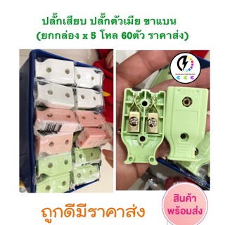 ปลั๊กตัวเมีย &amp; ปลั๊กตัวผู้ ยกกล่อง 60 ตัว 🔌เต้าเสียบ ปลั๊ก 2 ขาแบน #ราคาส่งถูก