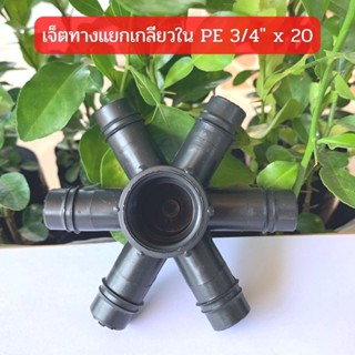 ข้อต่อเจ็ททางแยกเกลียวใน PE 3/4" x 20
