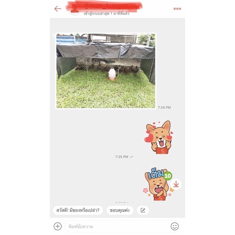 ลู่วิ่งไก่ชน ขนาด 80x200x80 ซม. แข็งแรง ทนทาน  2อัน รูปที่ 2