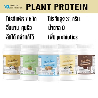 Velco nutrition 7 Plant Protein โปรตีนพืช 7 ชนิด เพิ่ม prebiotics บำรุงขับถ่าย คุมน้ำหนัก แคลต่ำ คุมหิว กล้ามเนื้อ