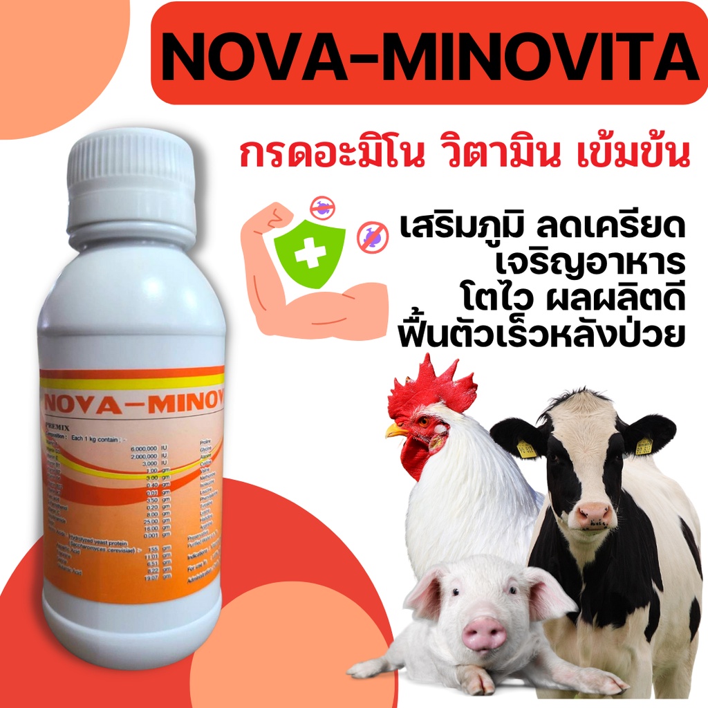 [ขวดเล็ก] NOVA Minovita โนวามิโนวิตา วิตามินรวมอะมิโน นก ไก่ เป็ด วัว ไก่ชน แบบน้ำ เข้มข้น อะควาโชค 100 ซีซี