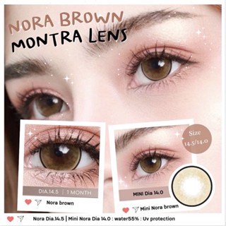 Nora Brown /Mini Nora Brown ค่าสายตา0.00-650