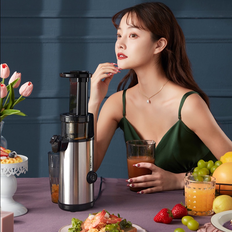 130W Stainless Steel Masticating Slow Auger Juicer Fruit and Vegetable