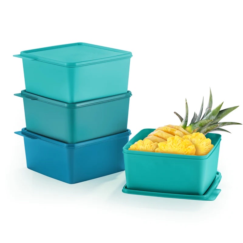 Tupperware Snack & Stack (4) 2.5L