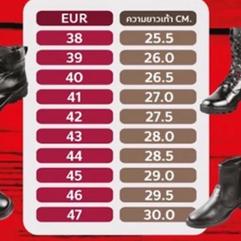 รูปภาพ 5