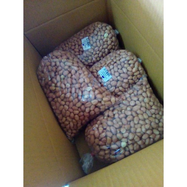 ถั่วลิสง​จัมโบ้​ (เมล็ด​พันธุ์)​เกษตรจัมโบ้จีน1กก150บาท​ สำหรับ​เพาะปลูก​หรือรับประทาน​(คำเตือนถั่วจีนงอกยากกว่าถั่วไทย) ราคา ถูกที่สุด ดีลบีเคเค แกลเลอรีภาพที่ 8