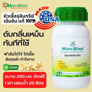 Micro Blaze 250ml. ส่งฟรี ดับกลิ่นเหม็น แอมโมเนียจากมูลสัตว์ หัวเชื้อจุลินทรีย์ สามารถฉีดพ่นโดนตัวสัตว์ได้ ปลอดภัย 100%