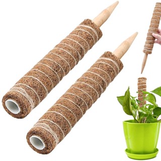 【AG】Indoor Climbing Plant Pole Convenient Coir Moss Stick Plant Support for Creepers