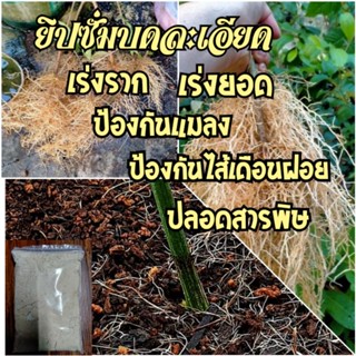 ยิปซั่มบดละเอียด กำมะถันสูงจากธรามชาติ เร่งรากได้ดี(1กก.)