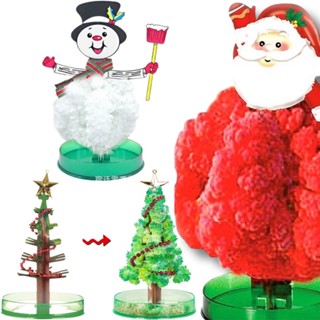 Magic Growing ของเล่นรับเทศกาล xmas  (TOY320)