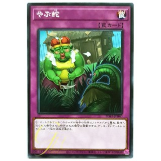 [SD43-JP040] Waking the Dragon (Common)