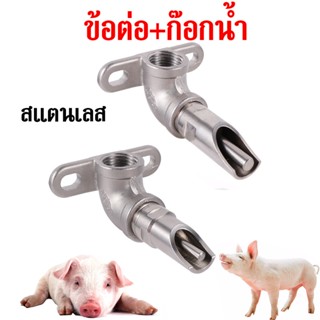 ชุดให้น้ำหมู ก๊อกน้ำหมู ข้อต่อก๊อกน้ำหมู ข้องอต่อก๊อกน้ำ ขนาด 4หุน(1/2 นิ้ว) ที่ให้น้ำหมู สแตนเลส ข้องอสองหู ติดแน่น