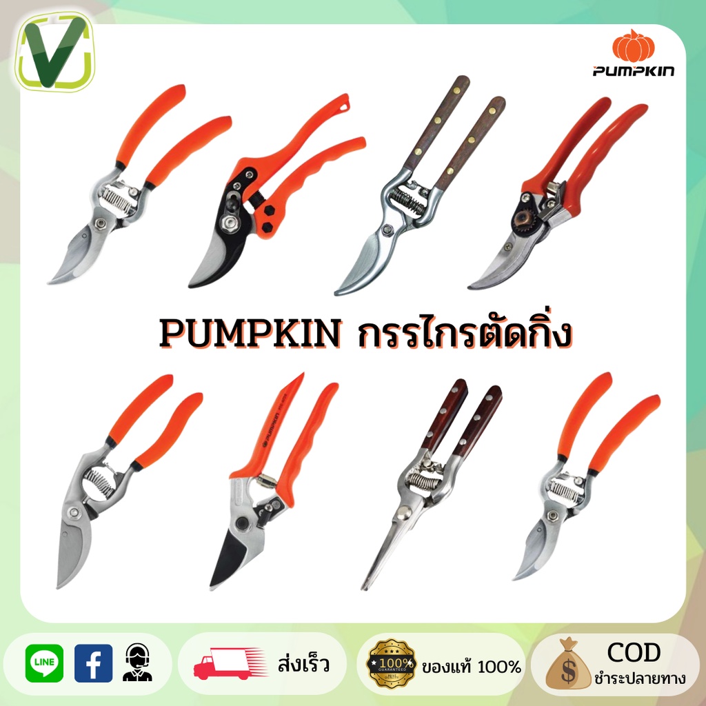 PUMPKIN 🎃 กรรไกรตัดกิ่งไม้ กรรไกรตอนกิ่ง ตัดกิ่ง (พร้อมส่ง) มีหลายแบบให้เลือก รุ่นขายดีที่ช่างเลือกใช้
