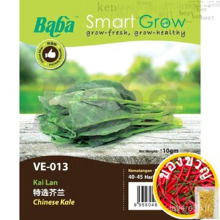 ม้านั่งใน VE-013 Kai lan/suur/smart Grow Chinese SEED-ใหม่เอี่ยม NCCV