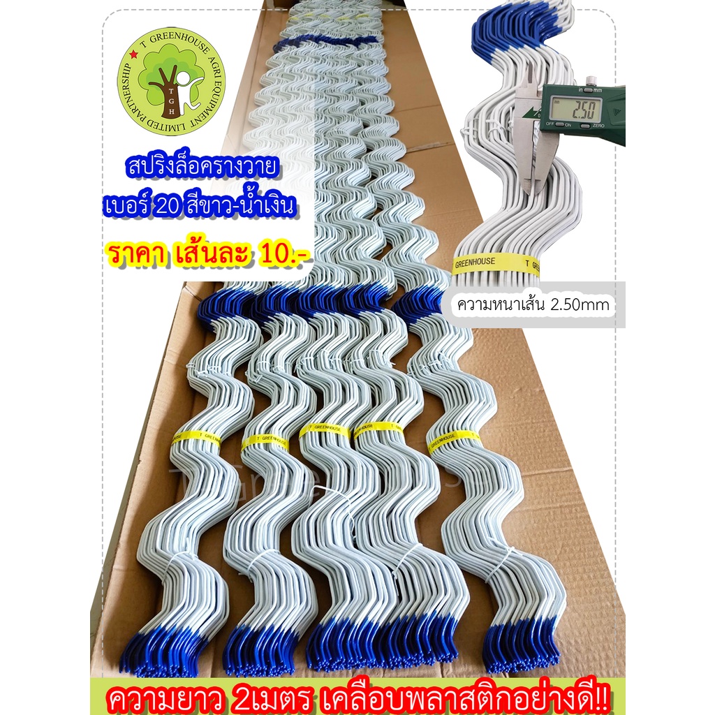 สปริงล็อครางวาย 2เมตร เคลือบพลาสติกอย่างดี!!!