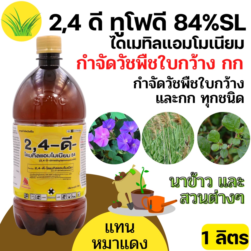 [500cc,1ลิตร] 2,4-ดี 24d ทูโฟดี กำจัดวัชพืชใบกว้าง ยาฆ่าหญ้า ผักบุ้ง แห้วหมู กก หญ้าใบกว้าง หญ้ายาง 