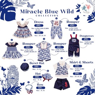 Tiny Whale Miracle Blue Wild (บลู) Used/Like New!!