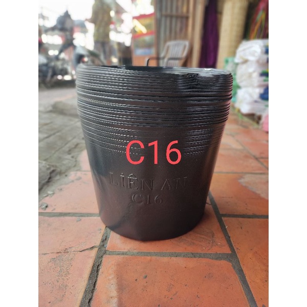 Combo 20 C16 Pots***