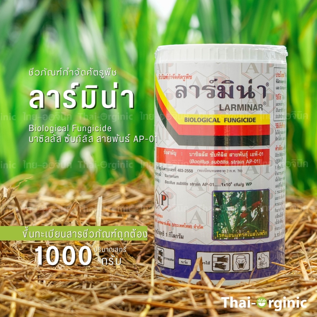 ลาร์มิน่า บาซิลลัส ซับทิลิส ป้องกันกำจัดเชื้อราและแบคทีเรีย สารชีวภัณฑ์ Bacillus subtilis บาซีลลัส