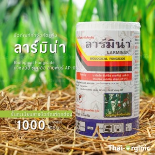 ลาร์มิน่า บาซิลลัส ซับทิลิส ป้องกันกำจัดเชื้อราและแบคทีเรีย สารชีวภัณฑ์ Bacillus subtilis บาซีลลัส บาซิลัส