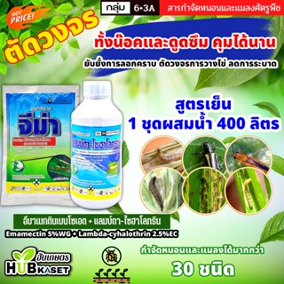 ชุดตัดวงจร จีม่า+แลมป์ดา ตราไก่เกษตร 100กรัม+1ลิตร (อีมาเมกติน+แลมป์ดา) ทั้งน๊อคและดูดซึม คุมได้นาน