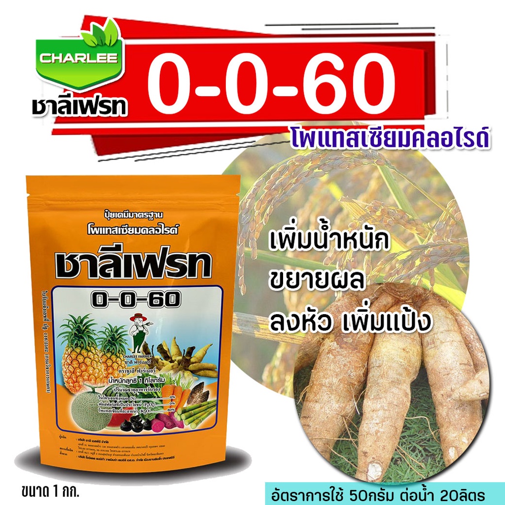 ชาลีเฟรท 0-0-60 1 กิโล ปุ๋ย ผลใหญ่ เพิ่มน้ำหนัก เพิ่มหวาน เพิ่มแป้ง เร่งสี ปุ๋ยเกล็ด ปุ๋ยเคมีบำร