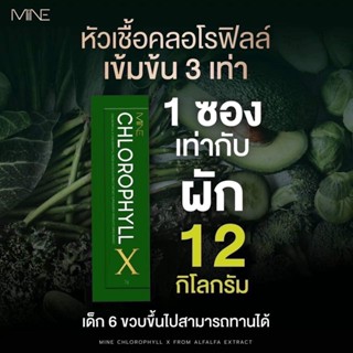 ✅ของแท้ ส่งฟรี💖 คลอโรฟิลล์มายมิ้น 🥦MINE CHLOROPHYLL X ปรับสมดุล ล้างลำไส้ 1ซอง ผัก12กิโล พุงยุบ ล้างสารพิษ รีดไขมัน