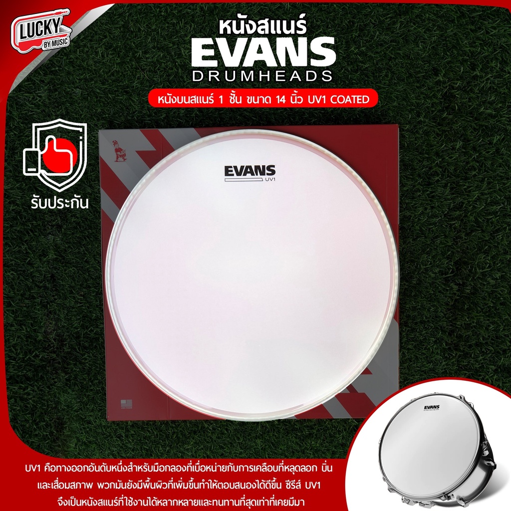Evans™ หนังสแนร์ รุ่น B14UV1 UV1 หนังกลองสแนร์ 14" แบบขุ่น น้ำมัน 1 ชั้น หนา 10 มิล เคลือบ UV หนังบน ** Made in USA **