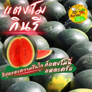 🍉แตงโมกินรี 1 ลูก (น้ำหนักประมาณ 3.3-3.6กิโล) เนื้อแดงผิวเข้ม หวานกรอบ สดจากสวนปลอดสารเคมี อินทรีย์ล้วนๆ