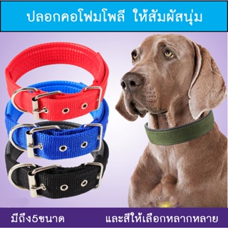 BN-142 ปลอกคอสุนัข แบบไนล่อน ปลอกคอสัตว์เลี้ยง หมา แมว พันธ์ใหญ่-พันธ์เล็ก pet collar ⭐️พร้อมส่ง⭐️