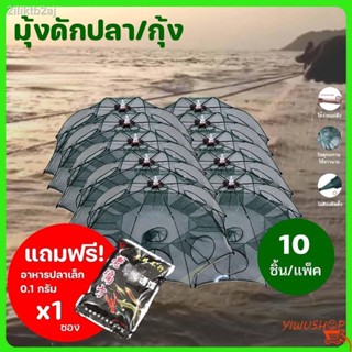 ปลีก/ส่ง ฟรีอาหารปลา แพ็ค 10 ชิ้น ตาข่ายดักปลา 4 , 6 , 8 ,10 ช่อง ที่ดักกุ้งฝอย มุ้งดักปลา มุ้งดักกุ้ง กระชังดักปลา อุปก