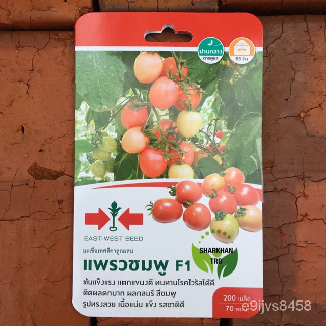 ∮ 200เม็งแรง F1 c/ F1 ∮/ 1H6L