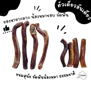 Bully Sticks dog treats ตัวเดียวอันเดียววัวอบแห้ง ขัดฟันน้องหมา ยอดฮิต ทั่วโลก umm ขนมหมา