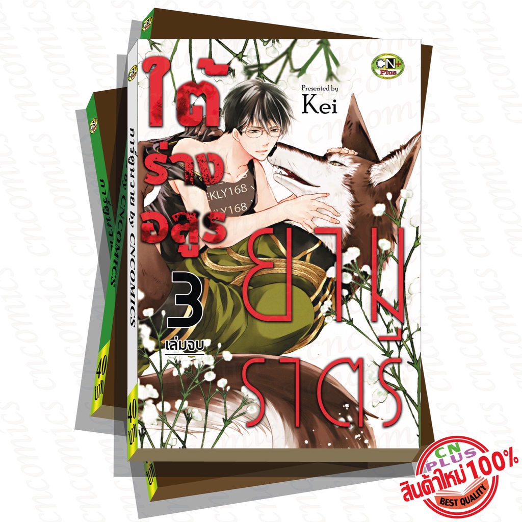 Thumbnail 6